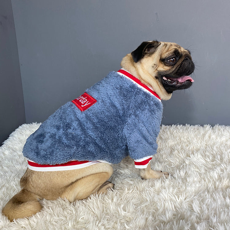 The Ultimate Pet Sweater for Your Beloved Companion